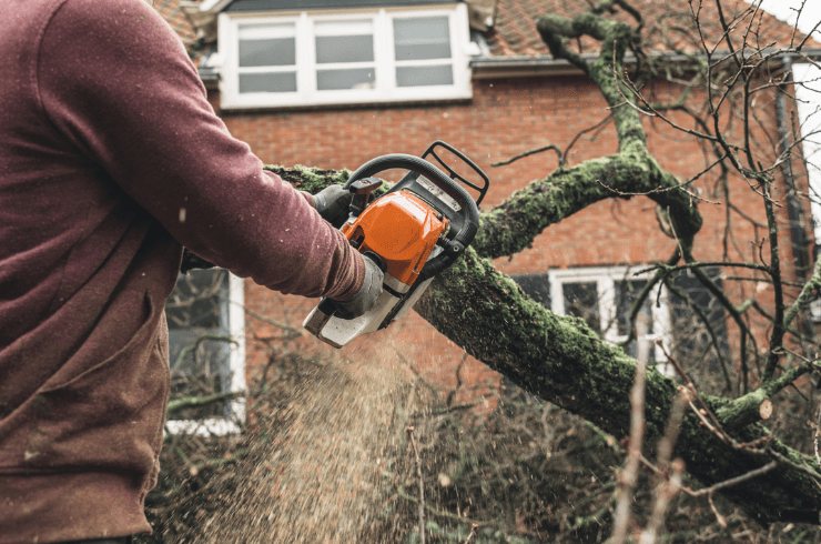 Hyatt Tree Service