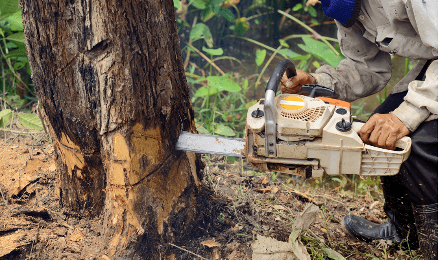 Hyatt Tree Service