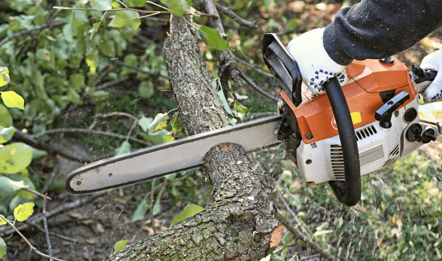 Hyatt Tree Service